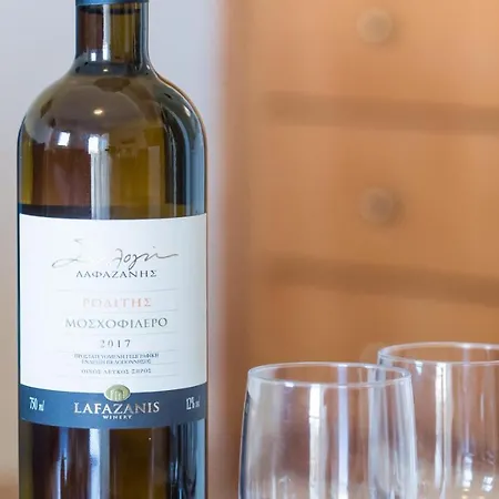 Apartment Manoleas - 4 Stoúpa